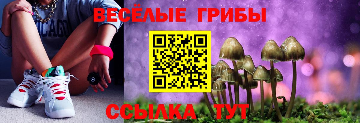 Галлюциногенные грибы Magic Shrooms  Вход с VPN  купить   Трёхгорный 